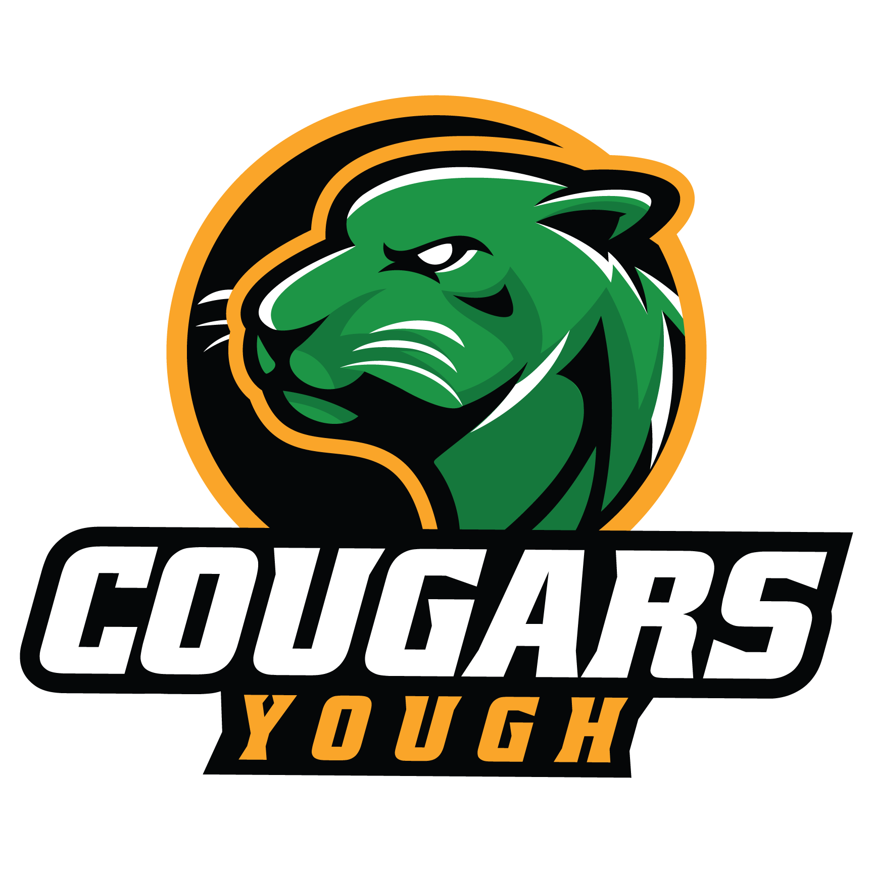 Yough Youth Football & Cheer